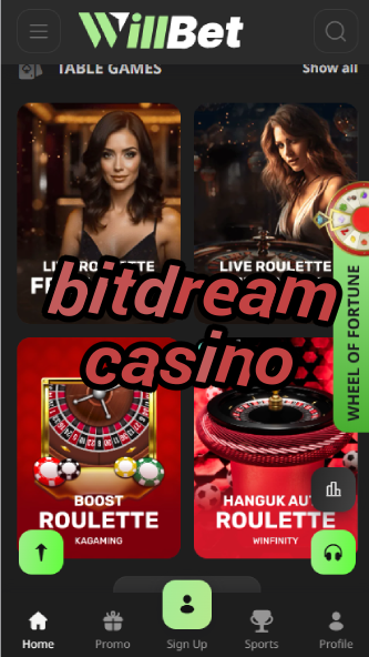 BitDream Casino - Fantasy Crypto Casino-casinoorder.vip