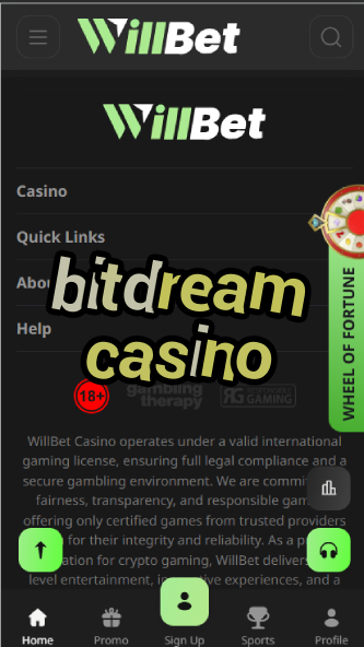 BitDream Casino - Fantasy Crypto Casino-casinoorder.vip