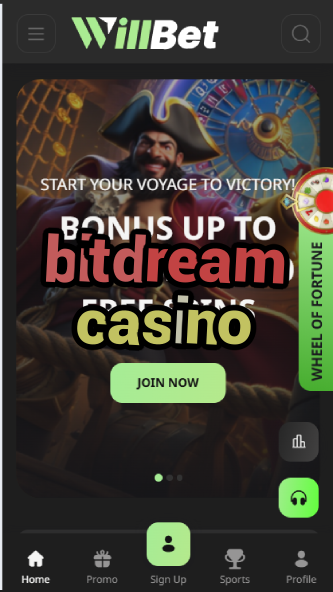 BitDream Casino - Fantasy Crypto Casino-casinoorder.vip